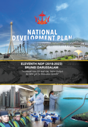 Eleventh National Development Plan (English)